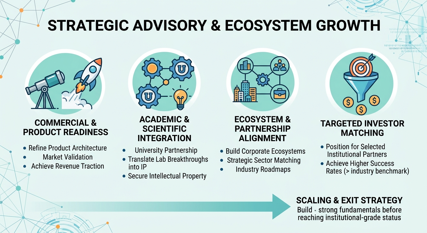 Strategic Advisory Beyond Traditional Venture Capital for Scale-Ups and Research Spin-Outs China